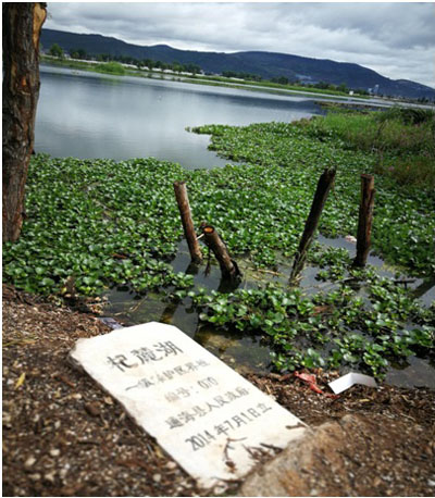 污水处理厂逾期七年未建成 杞麓湖生态环境受威胁