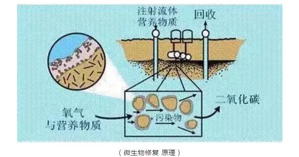 行业专栏 ：土壤重金属修复常见措施