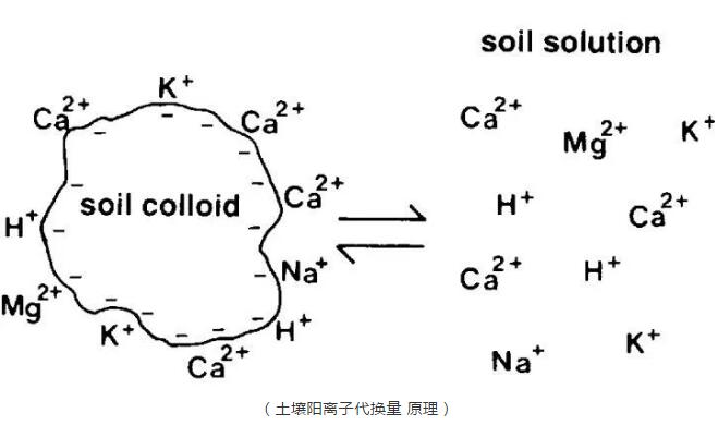 行业专栏 ：土壤重金属修复常见措施