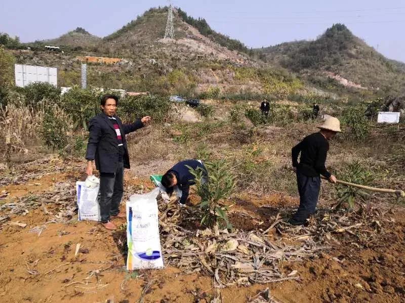 我国土壤污染防治总体进展与新时期推进思路