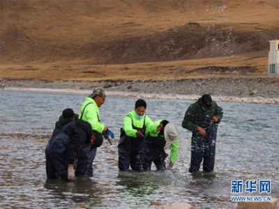 长江源头的捡垃圾志愿队