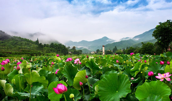 浙江安吉获评全国首个气候生态县