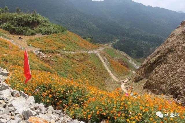 宝山新山片区历史遗留矿山生态修复案例