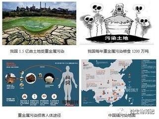 我国耕地重金属污染超2000万公顷！