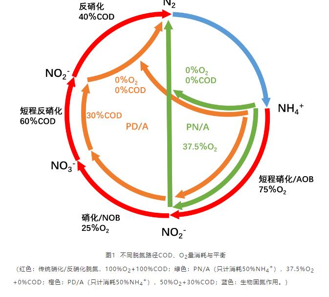 现象分析 | 厌氧氨氧化技术研究与应用反差现象归因