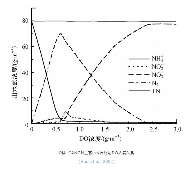 现象分析 | 厌氧氨氧化技术研究与应用反差现象归因